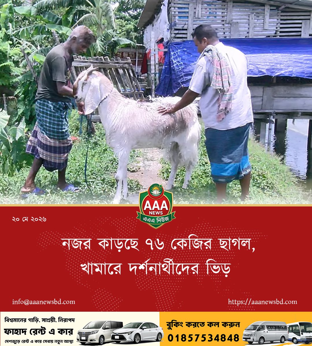 নজর কাড়ছে ৭৬ কেজির ছাগল, খামারে দর্শনার্থীদের ভিড়
