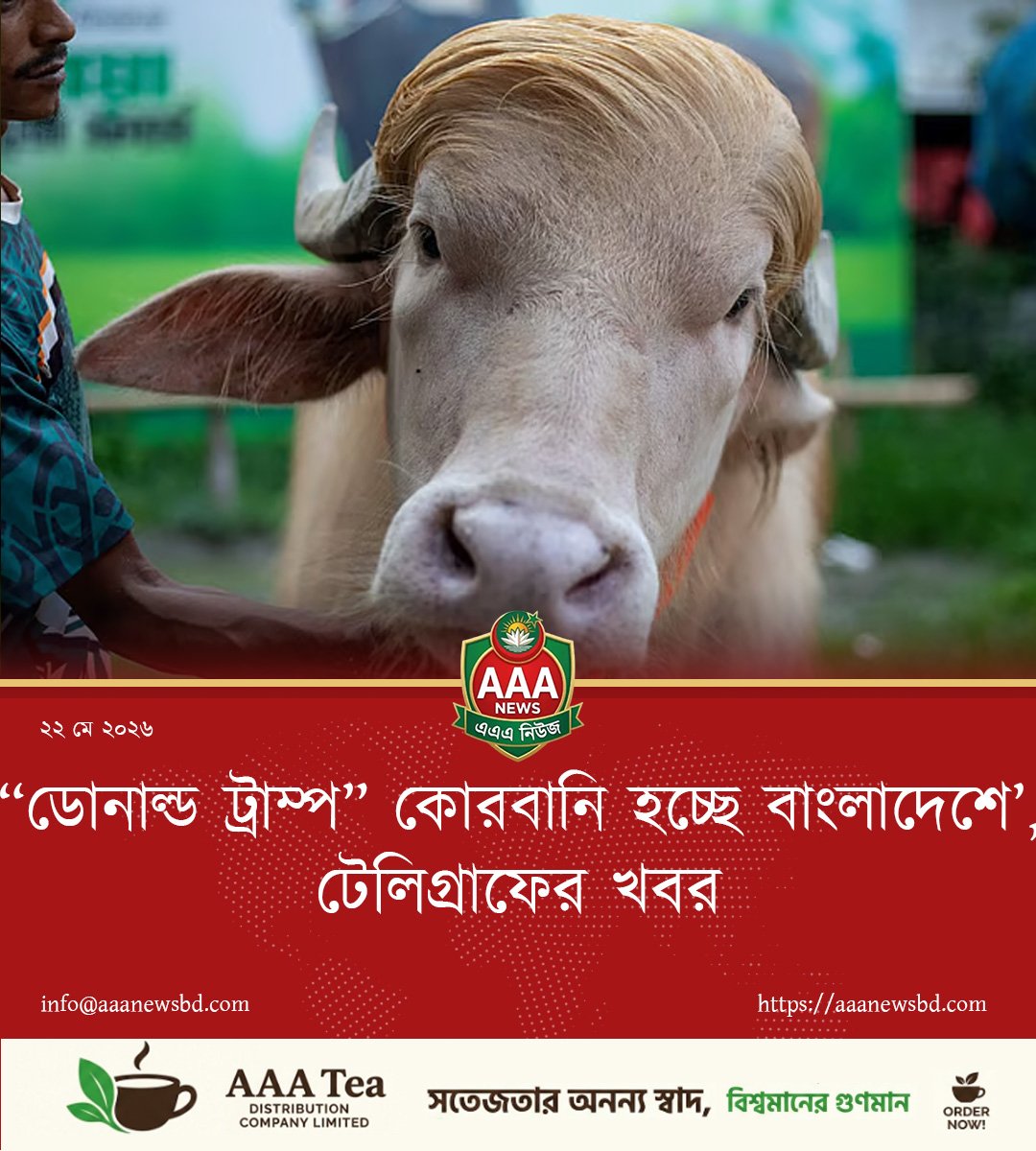 “ডোনাল্ড ট্রাম্প” কোরবানি হচ্ছে বাংলাদেশে’, টেলিগ্রাফের খবর