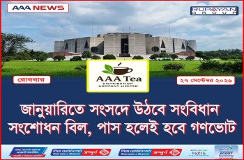 জানুয়ারিতে সংসদে উঠবে সংবিধান সংশোধন বিল, পাস হলেই হবে গণভোট