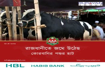 রাজধানীতে জমে উঠেছে কোরবানির পশুর হাট