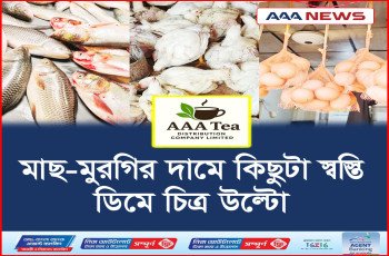 মাছ-মুরগির দামে কিছুটা স্বস্তি, ডিমে উল্টো চিত্র