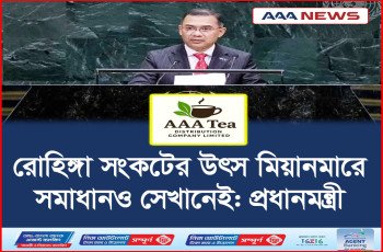 রোহিঙ্গা সংকটের উৎস মিয়ানমারে, সমাধানও সেখানেই: প্রধানমন্ত্রী
