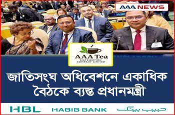 জাতিসংঘ অধিবেশনে একাধিক বৈঠকে ব্যস্ত প্রধানমন্ত্রী