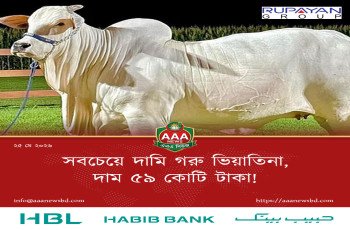 সবচেয়ে দামি গরু ভিয়াতিনা, দাম ৫৯ কোটি টাকা!